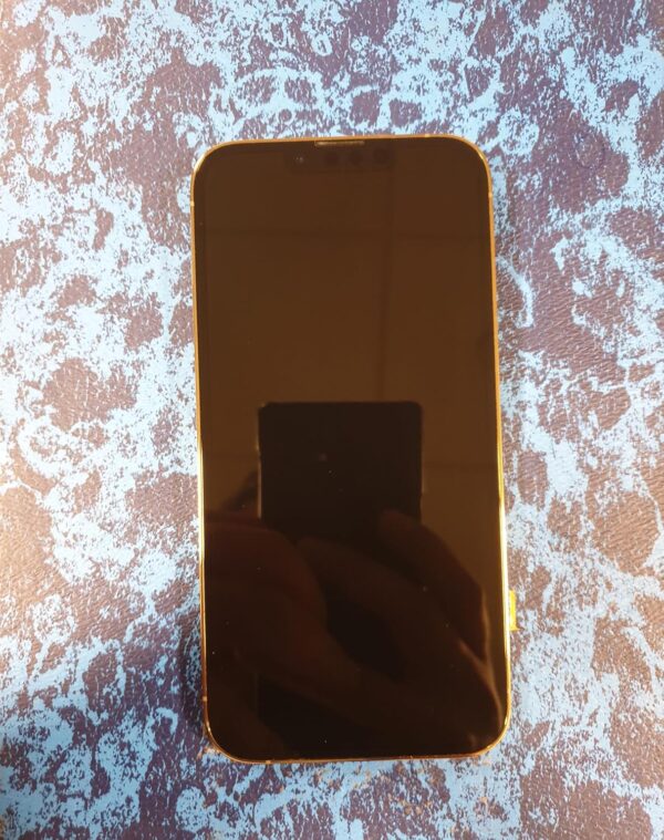 Generic Used Mobile Phone 13 Pro Gold 256GB (Used Good Condition) - Image 3