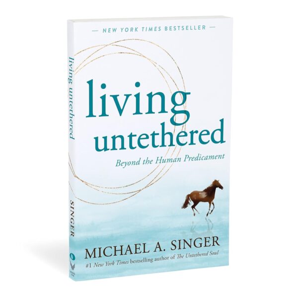 Living Untethered: Beyond the Human Predicament - Image 4