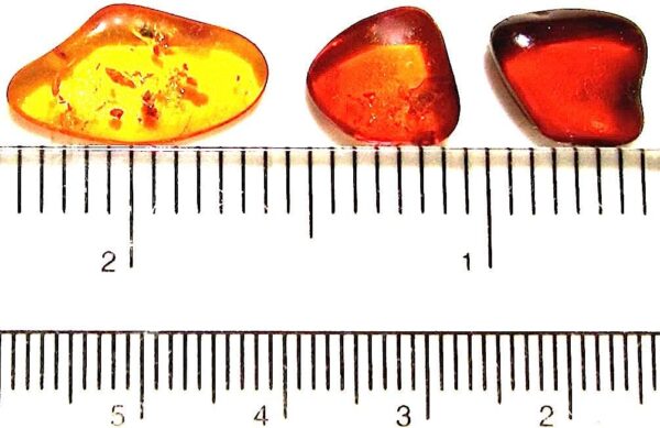 Ian and Valeri Co. Raw Amber Flat Gemstones Very Small Set of 5 Stones - Image 3