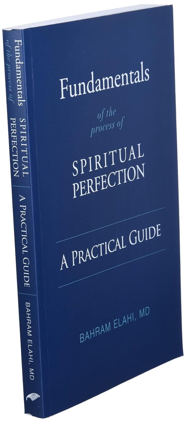 Fundamentals of the Process of Spiritual Perfectio: A Practical Guide - Image 4