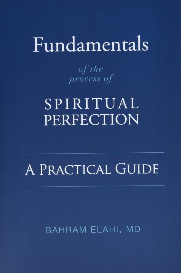 Fundamentals of the Process of Spiritual Perfectio: A Practical Guide - Image 2