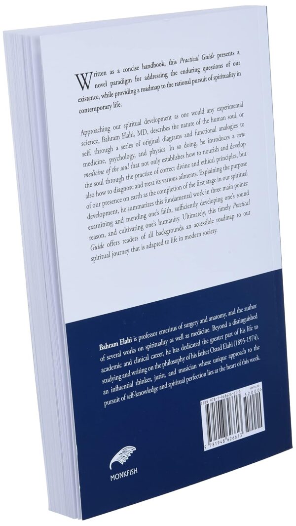 Fundamentals of the Process of Spiritual Perfectio: A Practical Guide - Image 5