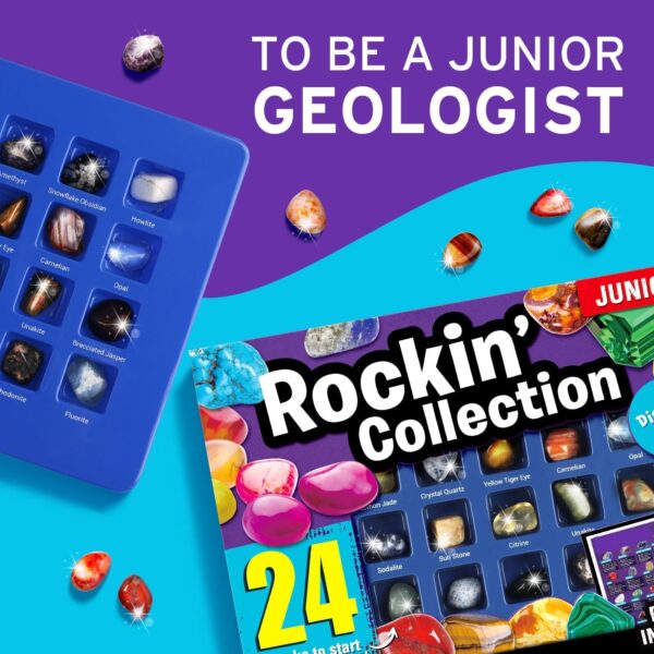 XXTOYS Stone Collection - 24 Assorted Precious Stones & Minerals Set, Natural Stones & Crystals for Kids Educational Science Kit - Image 5
