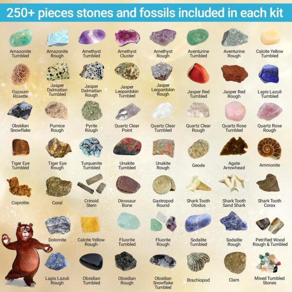 Dancing Bear Rock & Mineral Collection Activity Kit with Geodes, Shark Teeth Fossils, Arrowheads, Crystals, Gemstones for Kids (200+Pieces) - Image 3