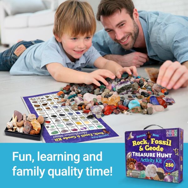 Dancing Bear Rock & Mineral Collection Activity Kit with Geodes, Shark Teeth Fossils, Arrowheads, Crystals, Gemstones for Kids (200+Pieces) - Image 4