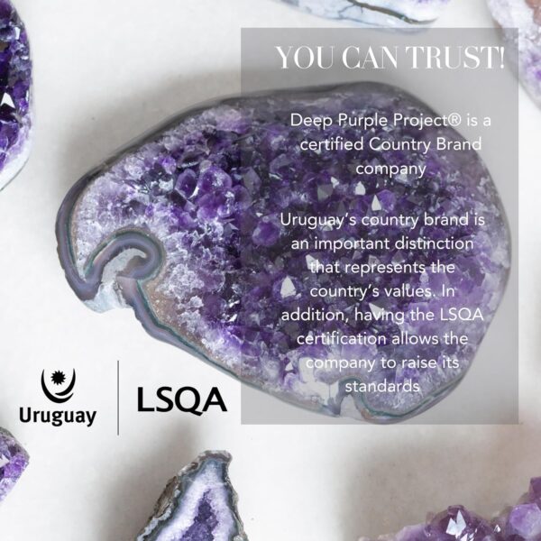 Deep Purple Project Amethyst Clusters Quartz Crystal Geode 1/2 Lb to 1 Lb Plus: Premium Gift Box Spiritual Healing Stone - Image 9