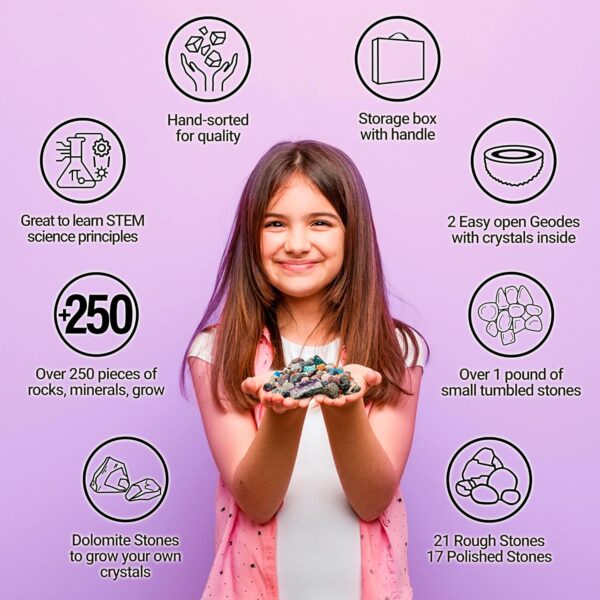Dancing Bear Rock & Mineral Collection Activity Kit with Geodes, Shark Teeth Fossils, Arrowheads, Crystals, Gemstones for Kids (200+Pieces) - Image 7