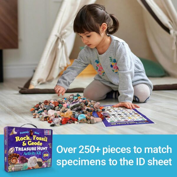 Dancing Bear Rock & Mineral Collection Activity Kit with Geodes, Shark Teeth Fossils, Arrowheads, Crystals, Gemstones for Kids (200+Pieces) - Image 8
