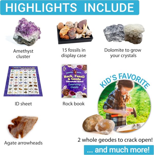 Dancing Bear Rock & Mineral Collection Activity Kit with Geodes, Shark Teeth Fossils, Arrowheads, Crystals, Gemstones for Kids (200+Pieces) - Image 5