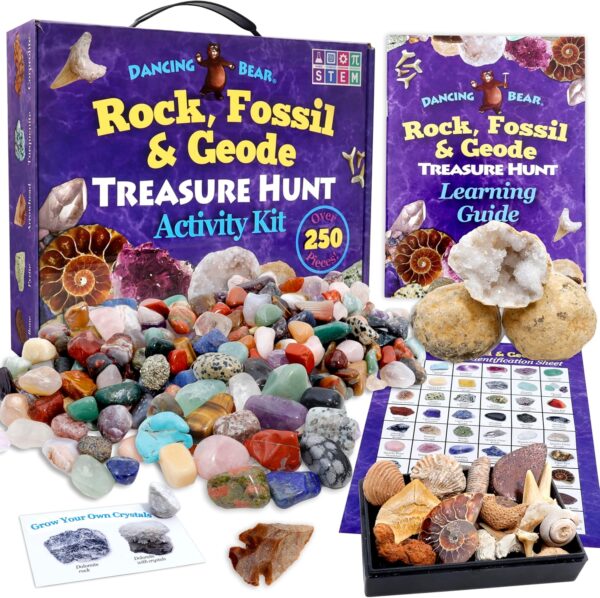 Dancing Bear Rock & Mineral Collection Activity Kit with Geodes, Shark Teeth Fossils, Arrowheads, Crystals, Gemstones for Kids (200+Pieces) - Image 9