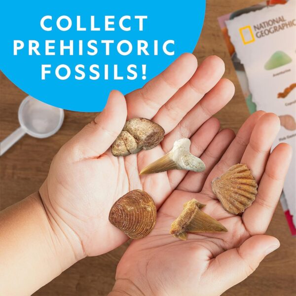 NATIONAL GEOGRAPHIC Rock Collection Box for Kids – 200 Piece Gemstones and Crystals Set Includes Geodes and Real Fossils, Rocks and Minerals Science Kit for Kids, A Geology Gift for Boys and Girls - Image 4