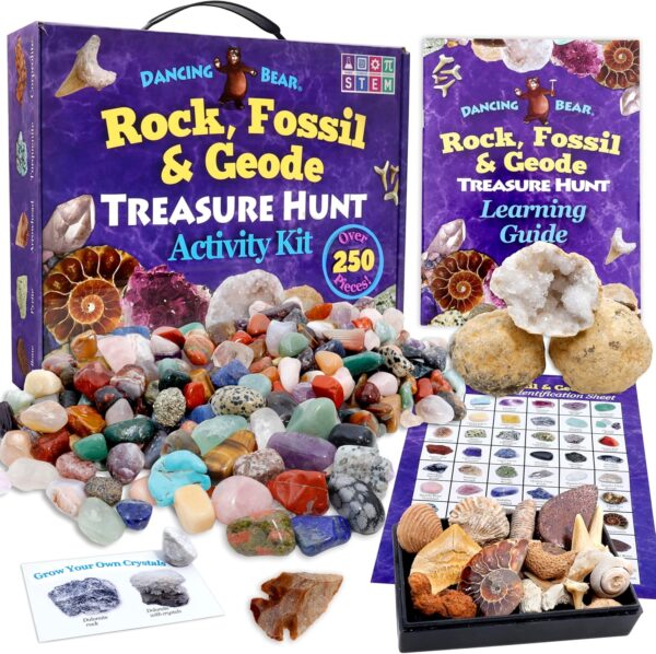 Dancing Bear Rock & Mineral Collection Activity Kit with Geodes, Shark Teeth Fossils, Arrowheads, Crystals, Gemstones for Kids (200+Pieces) - Image 2